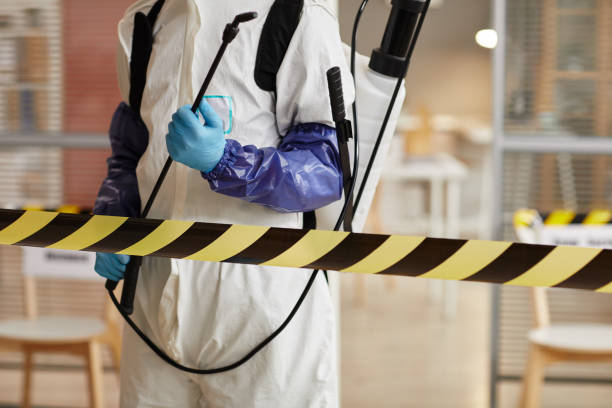 Professional Sewage Cleanup technician working in Frankton, IN